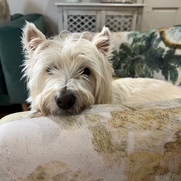 Meet your Posher, - Picture 1 of 1